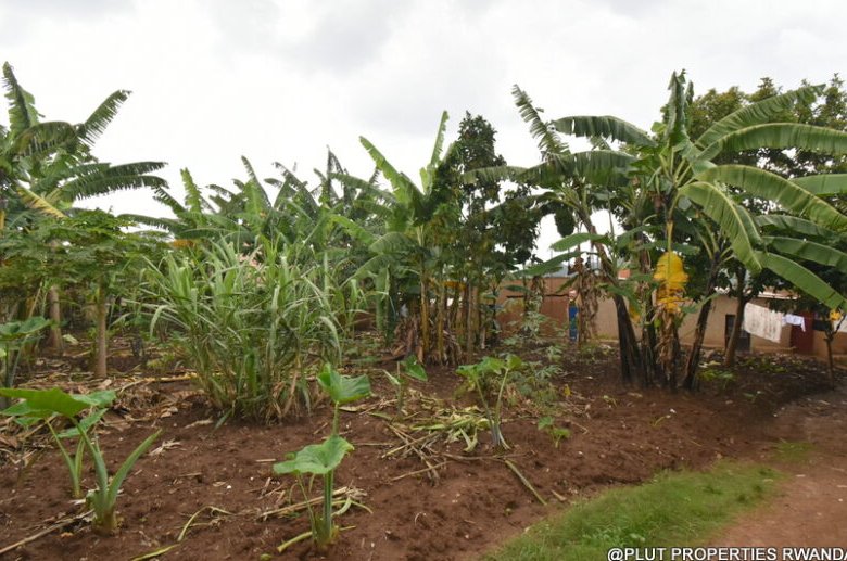 Residential Plot for Sale in Kinyinya 