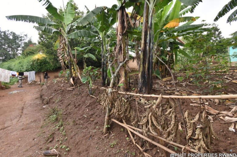 Residential Plot for Sale in Kinyinya 
