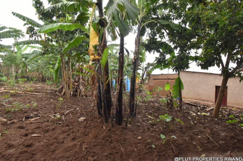 Residential Plot for Sale in Kinyinya 