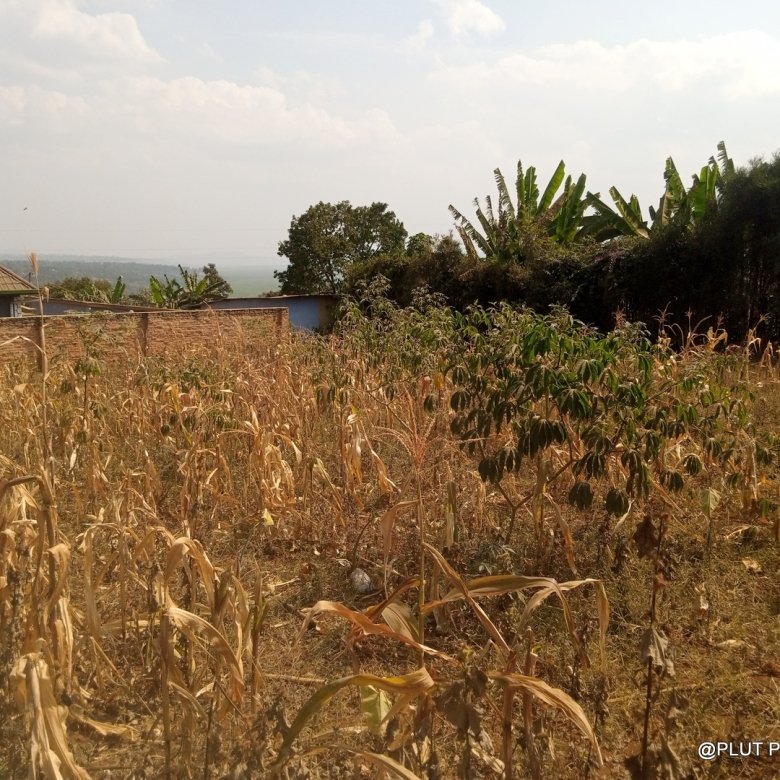 Plot for Sale in Masaka