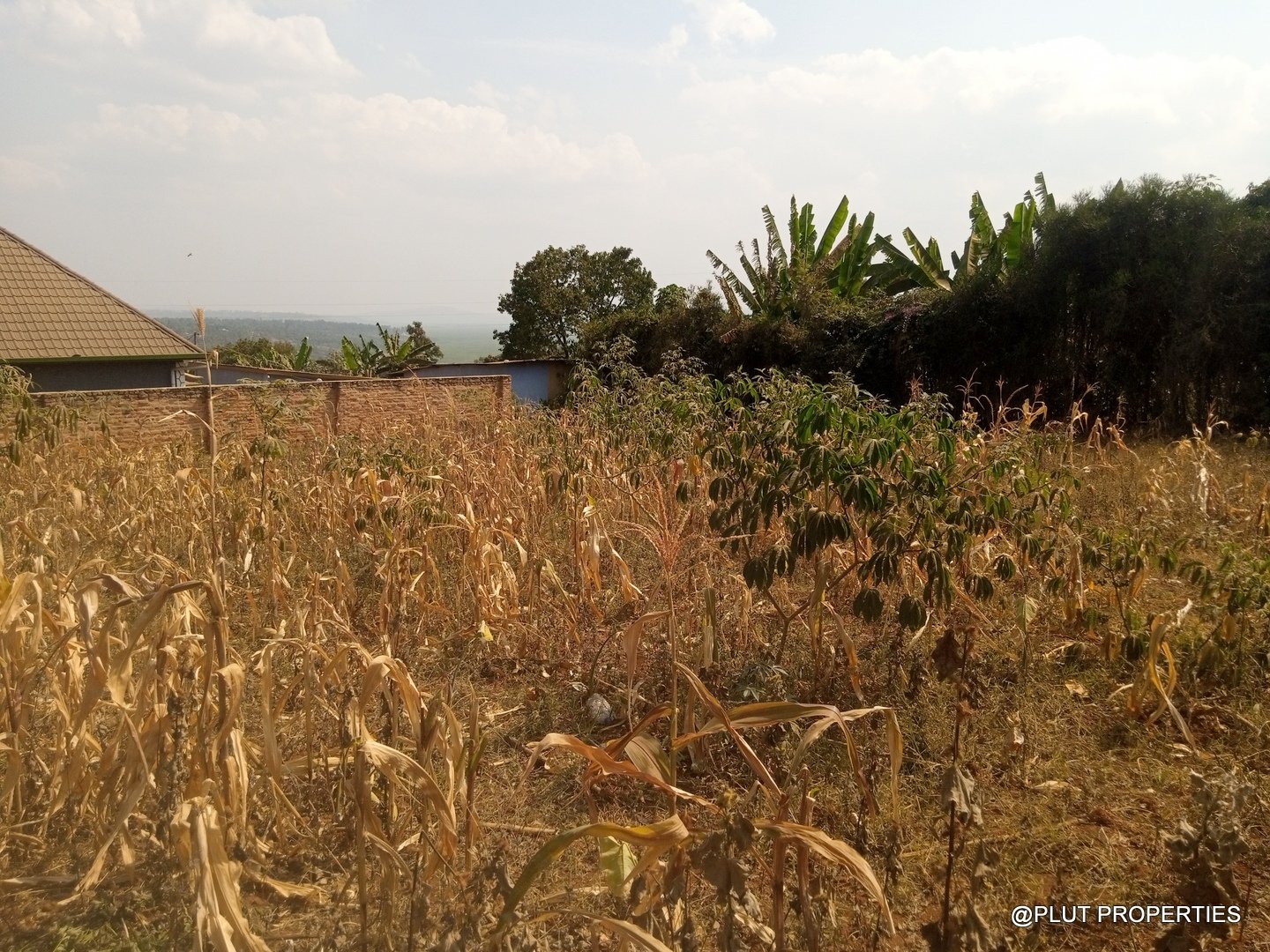Big plot for sale in Masaka plut properties (1) Plot for Sale in Masaka