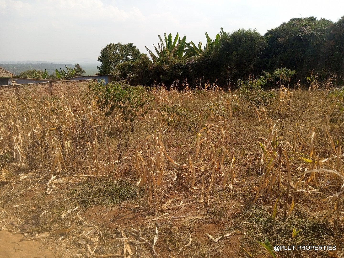 Big plot for sale in Masaka plut properties (2) Plot for Sale in Masaka