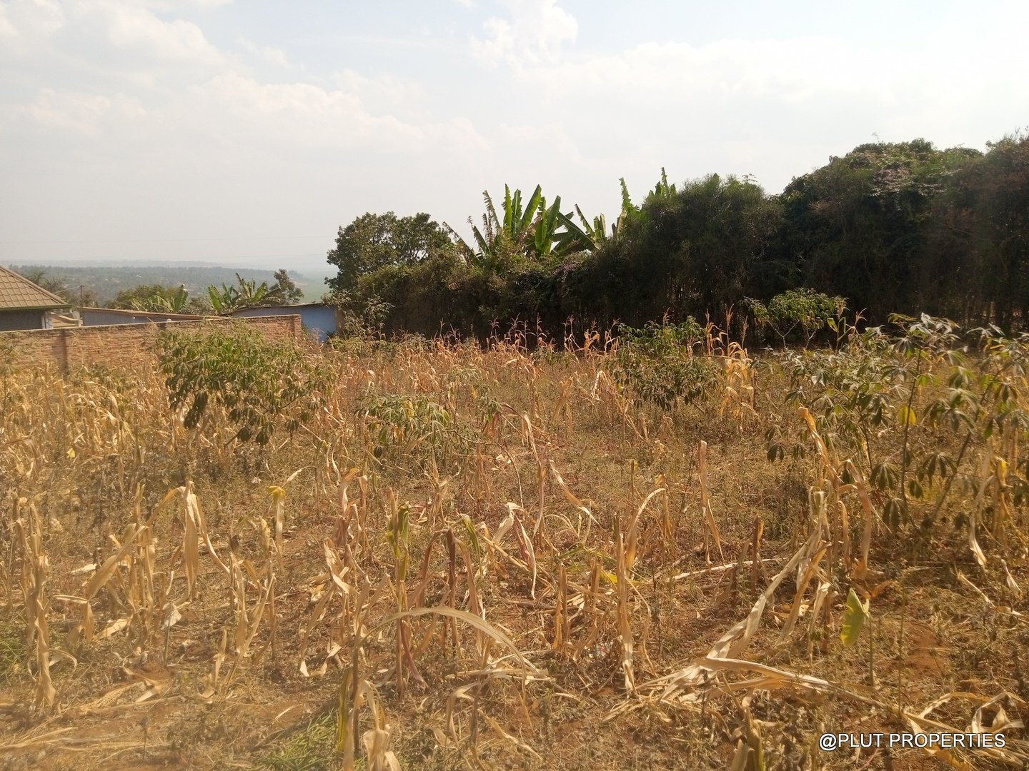 Big plot for sale in Masaka plut properties (4) Plot for Sale in Masaka