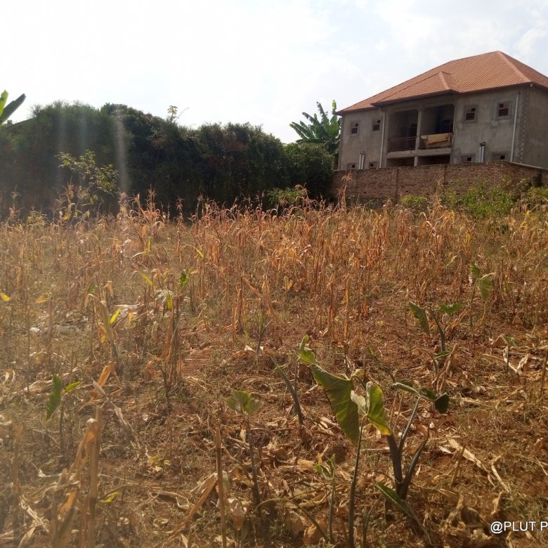 Plot for Sale in Masaka