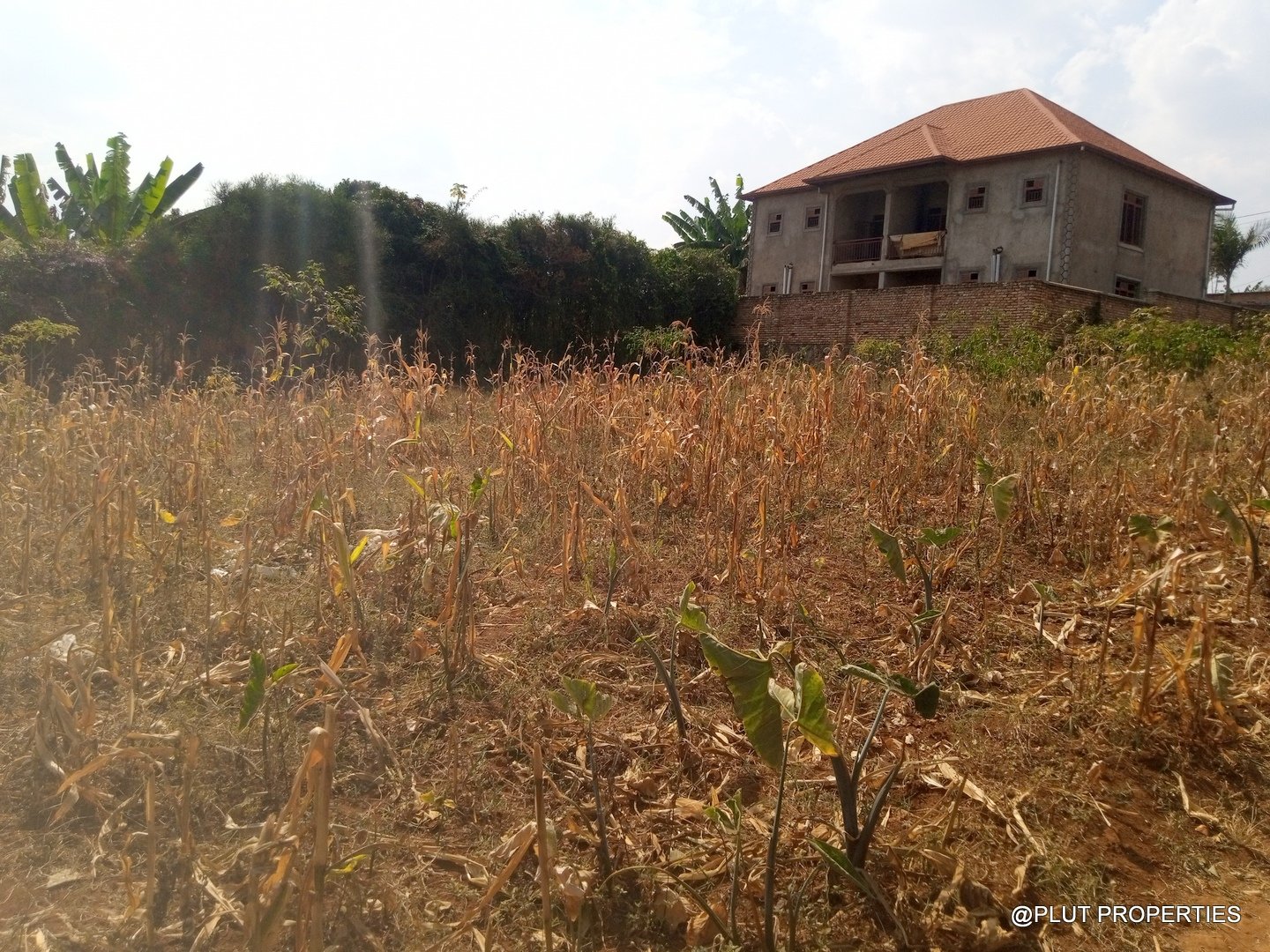 Big plot for sale in Masaka plut properties (5) Plot for Sale in Masaka