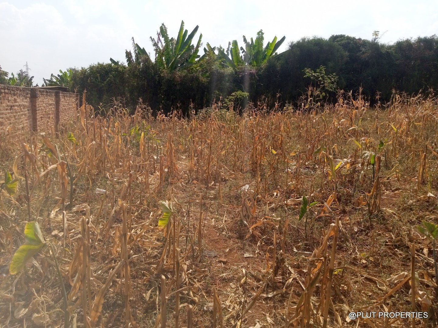Big plot for sale in Masaka plut properties (6) Plot for Sale in Masaka