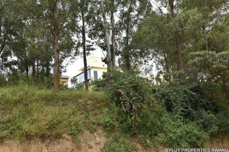 Big plot for sale in Nyarutarama
