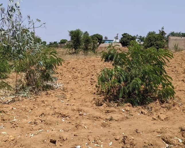 Bugesera land for sale