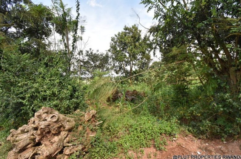 Prime Residential Plot for Sale in Busanza 