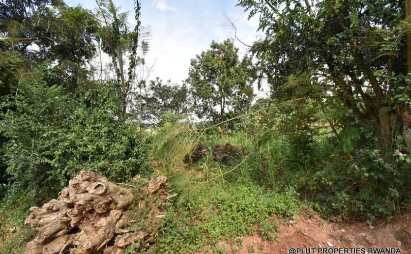 Prime Residential Plot for Sale in Busanza 