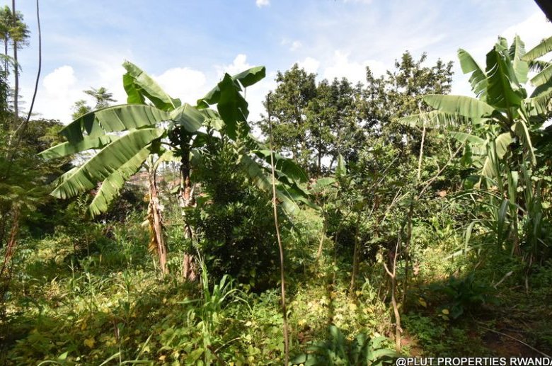 Prime Residential Plot for Sale in Busanza 