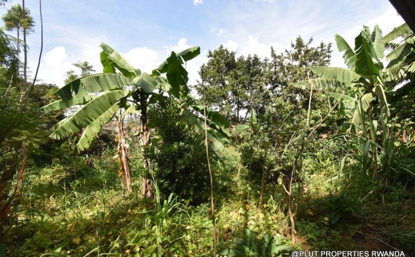 Prime Residential Plot for Sale in Busanza 