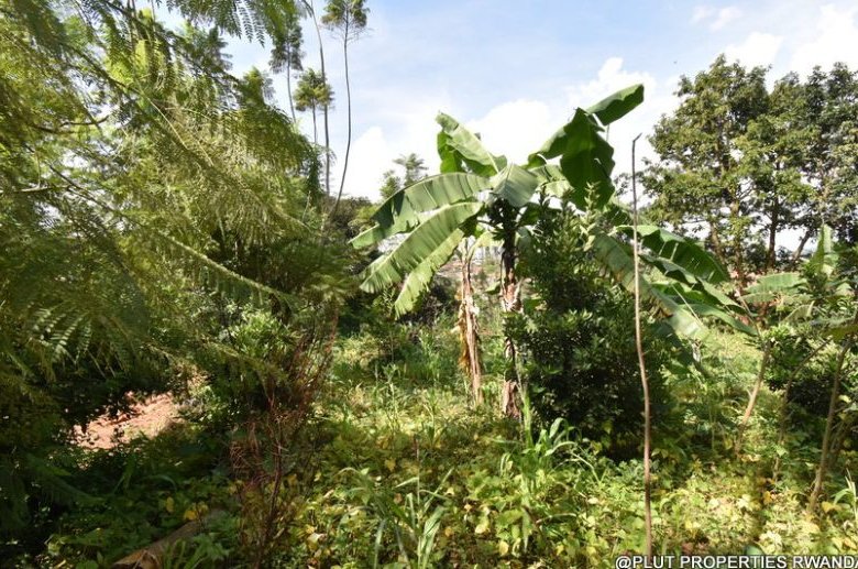 Prime Residential Plot for Sale in Busanza 