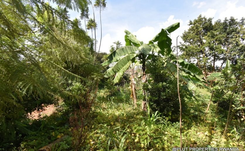 Prime Residential Plot for Sale in Busanza 