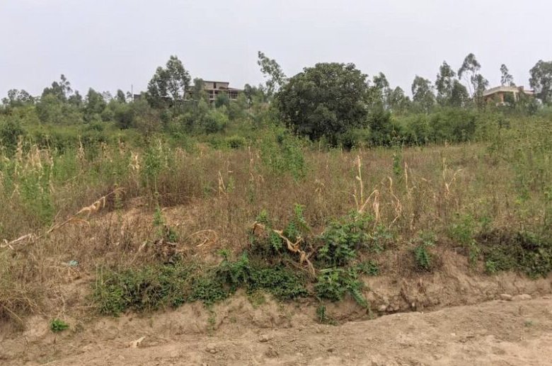 Buy Land in Bugesera