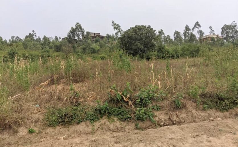 Buy Land in Bugesera