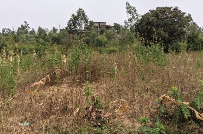 Buy Land in Bugesera