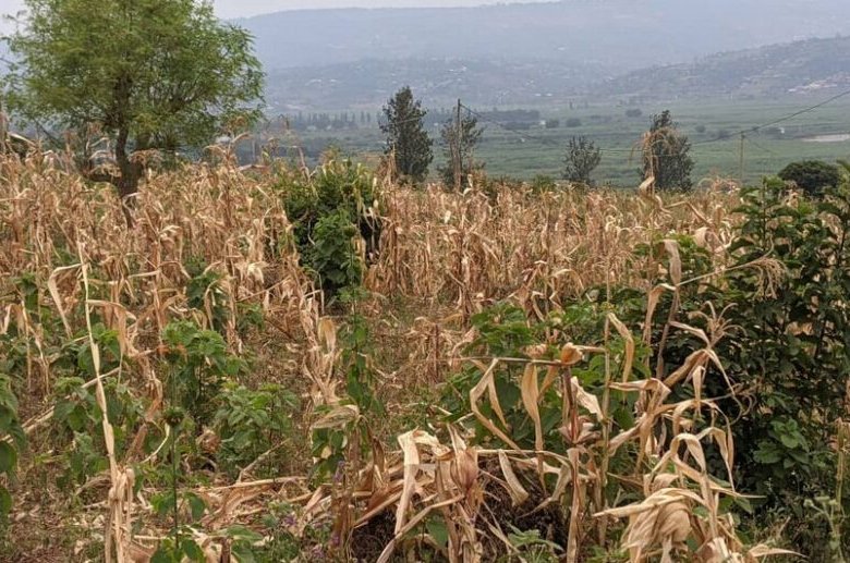 Buy Land in Bugesera