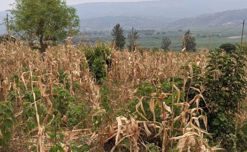 Buy Land in Bugesera