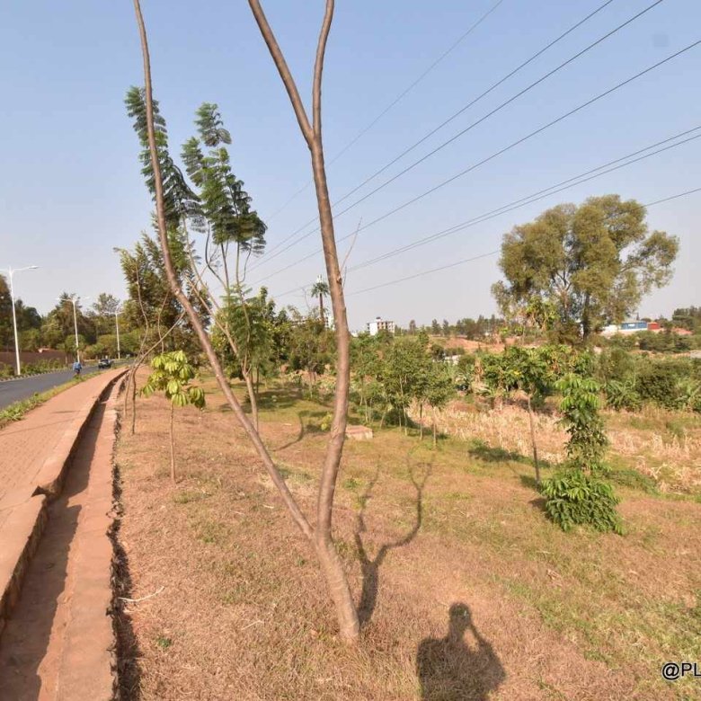 Gahanga plot for sale