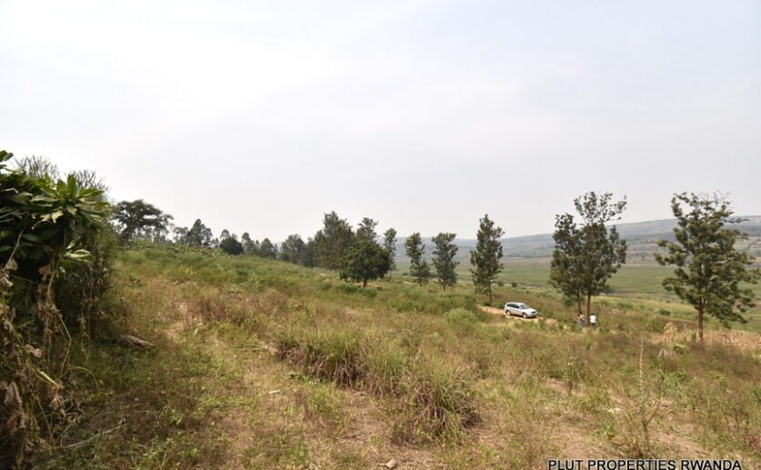Huge-plot-for-sale-in-Bugesera-plut-properties-3-836×517 Land for sale in Rwanda