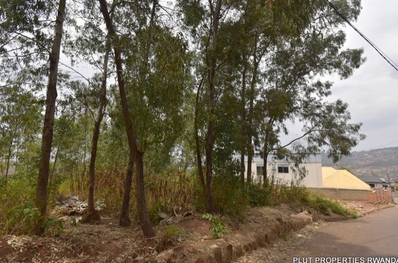 Big plot for sale.