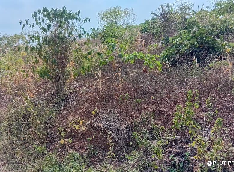 Kanzeze Bugesera plot for sale