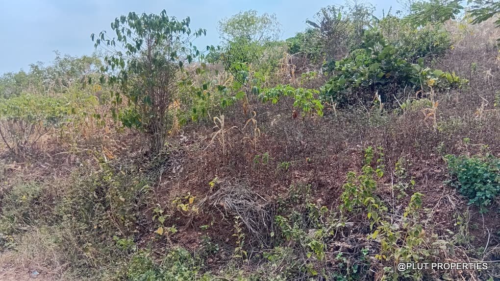 Kanzeze Bugesera plot for sale