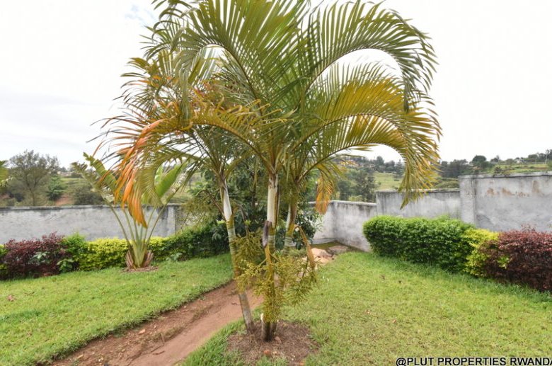 Kigali Kacyiru Plot for sale