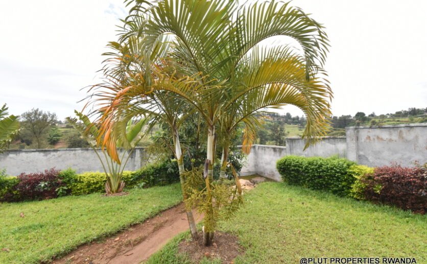 Kigali-Kacyiru-plot-for-sale-plut-properties-7-836×517 Kigali Kacyiru Plot for sale