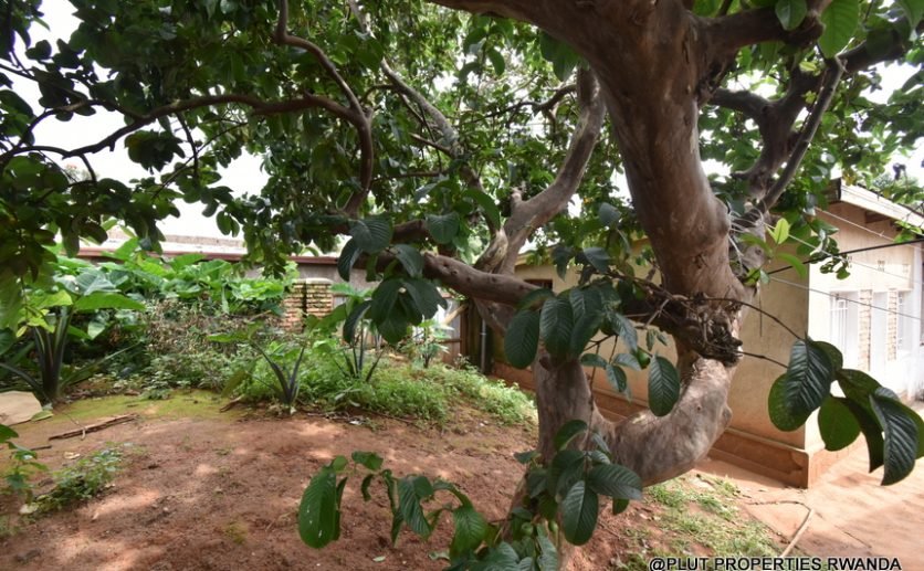 Kimironko house for sale
