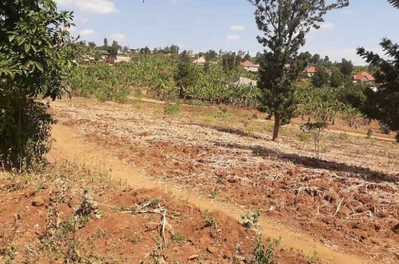 Land for sale