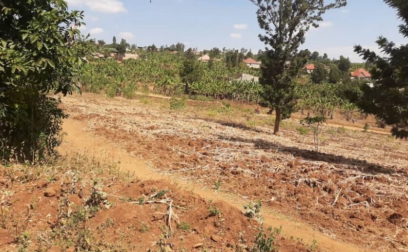 Land for sale