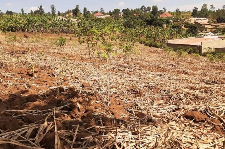 Land for sale
