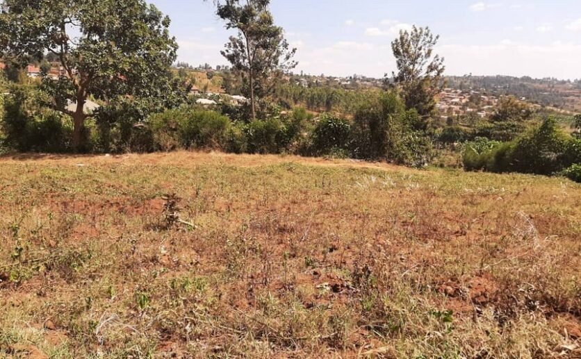 Land for sale