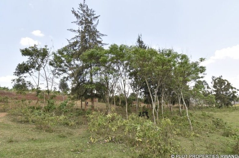 Muhazi Land for sale