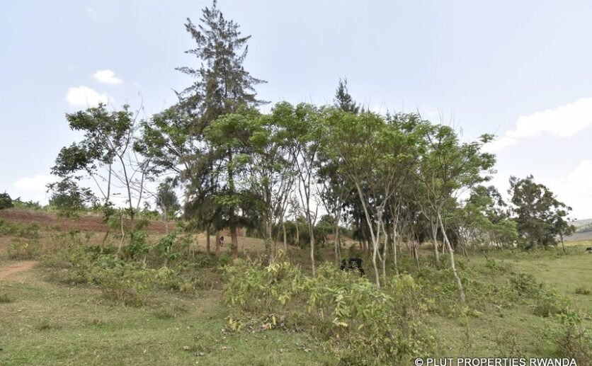 Muhazi Land for sale