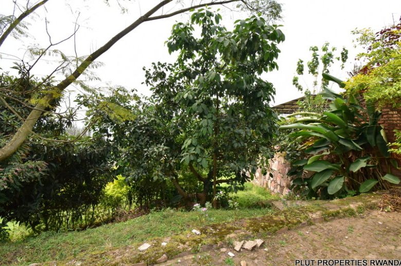 Plot for Sale in Kacyiru