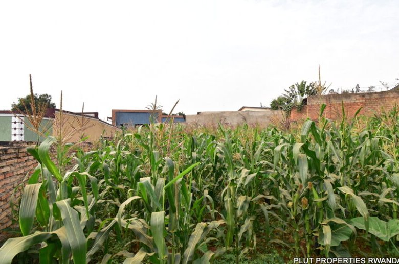 Plot for Sale