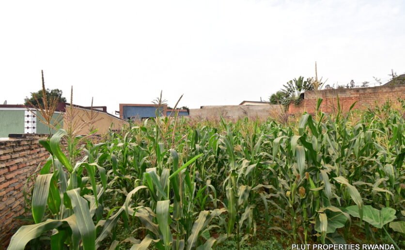 Plot-for-sale-plut-properties-1-836×517 Plot for Sale