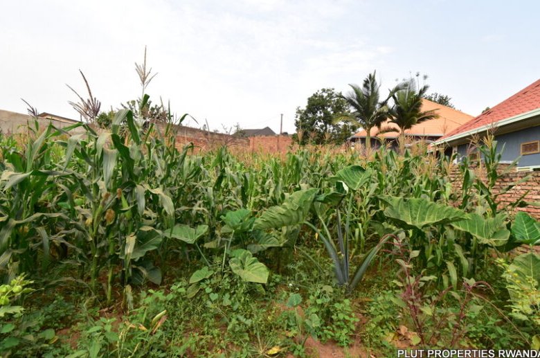 Plot for Sale