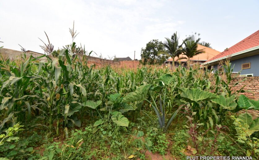 Plot-for-sale-plut-properties-2-836×517 Plot for Sale