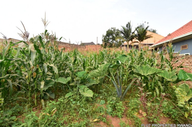 Plot for Sale