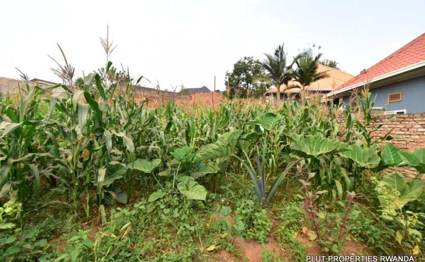 Plot-for-sale-plut-properties-3-836×517 Plot for Sale