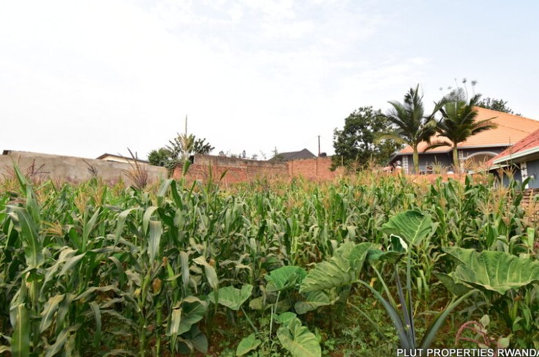 Plot for Sale