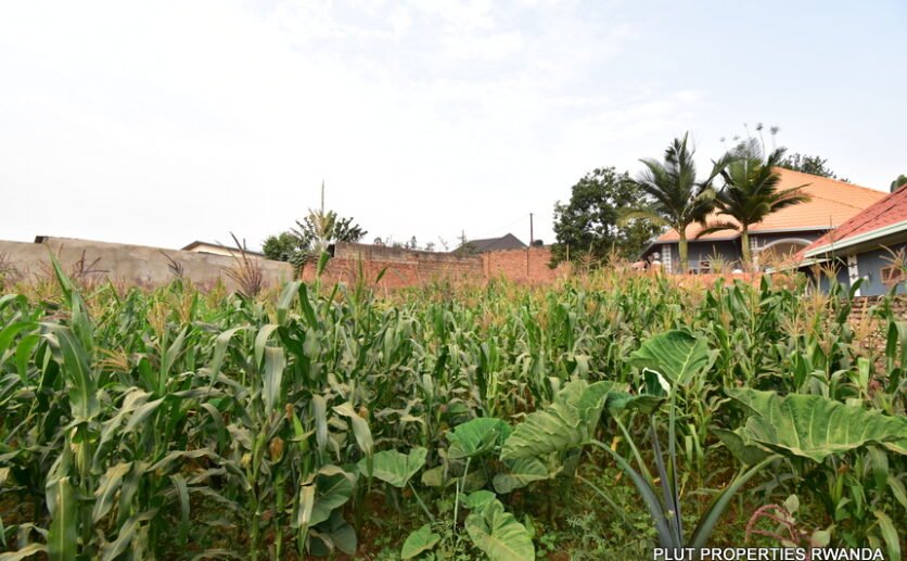 Plot-for-sale-plut-properties-5-836×517 Plot for Sale