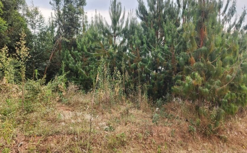 Rebero-land-for-sale-plut-properties-1-836×517 Rebero land for sale