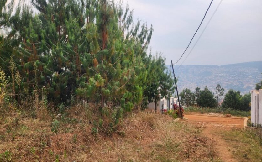 Rebero-land-for-sale-plut-properties-3-836×517 Rebero land for sale