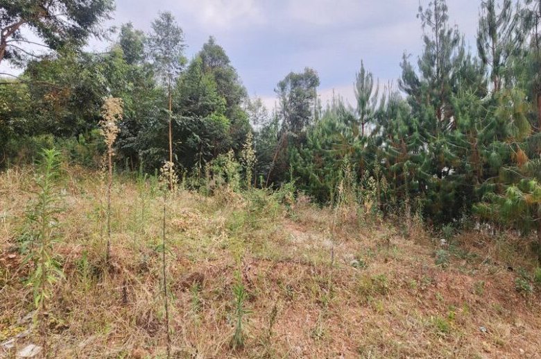 Rebero land for sale