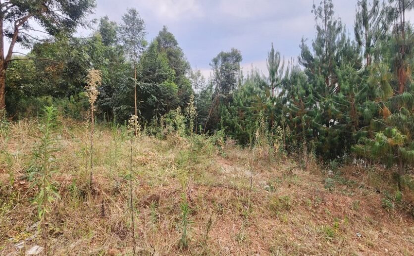 Rebero-land-for-sale-plut-properties-4-836×517 Rebero land for sale